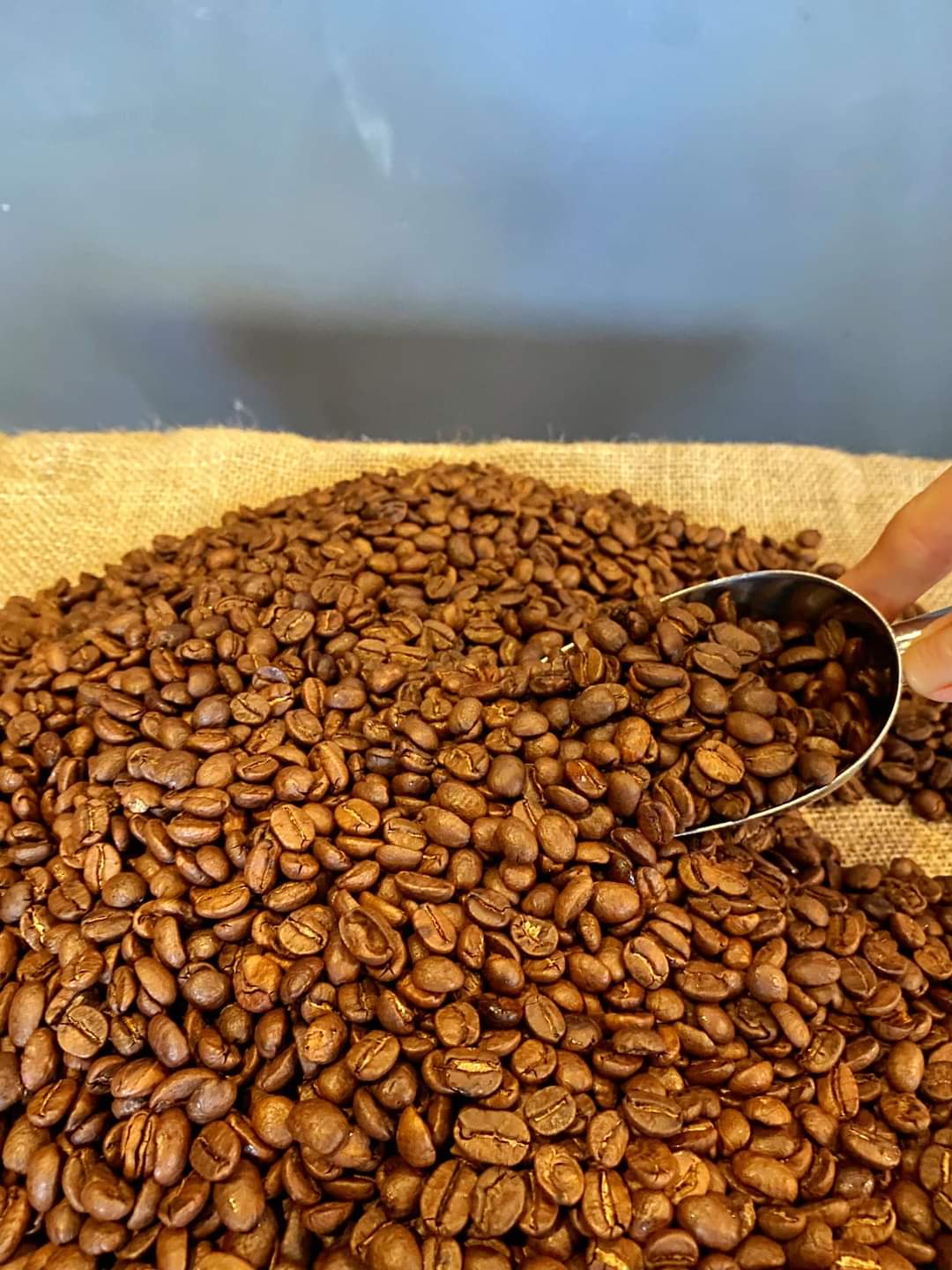 Robusta rang mộc